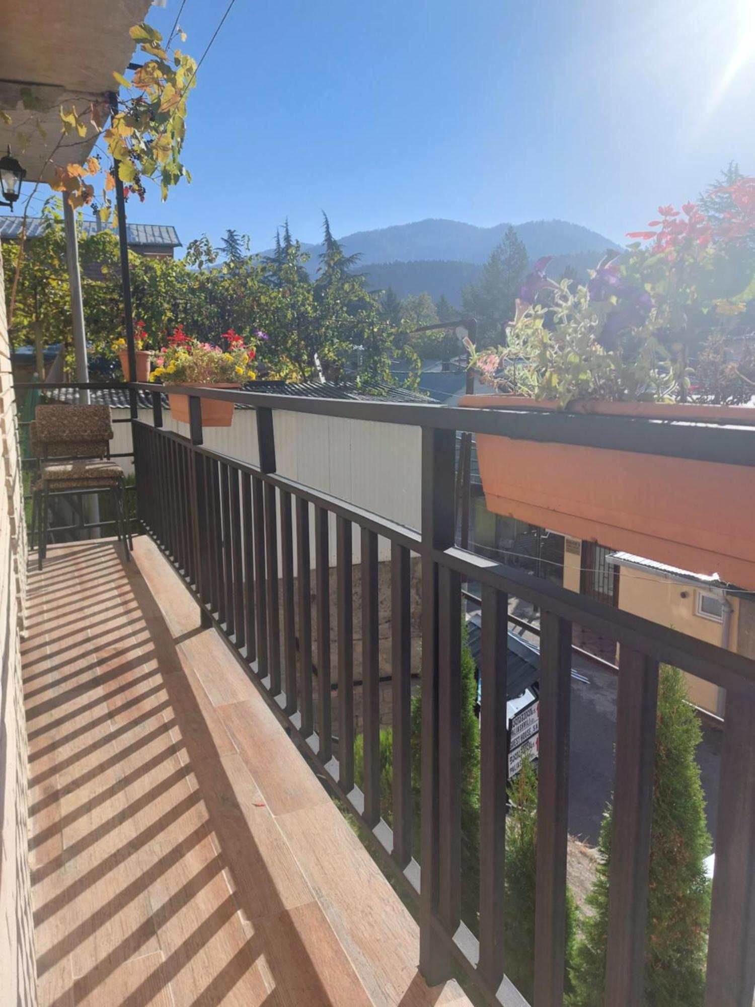 Guesthouse Saba بورجومي المظهر الخارجي الصورة