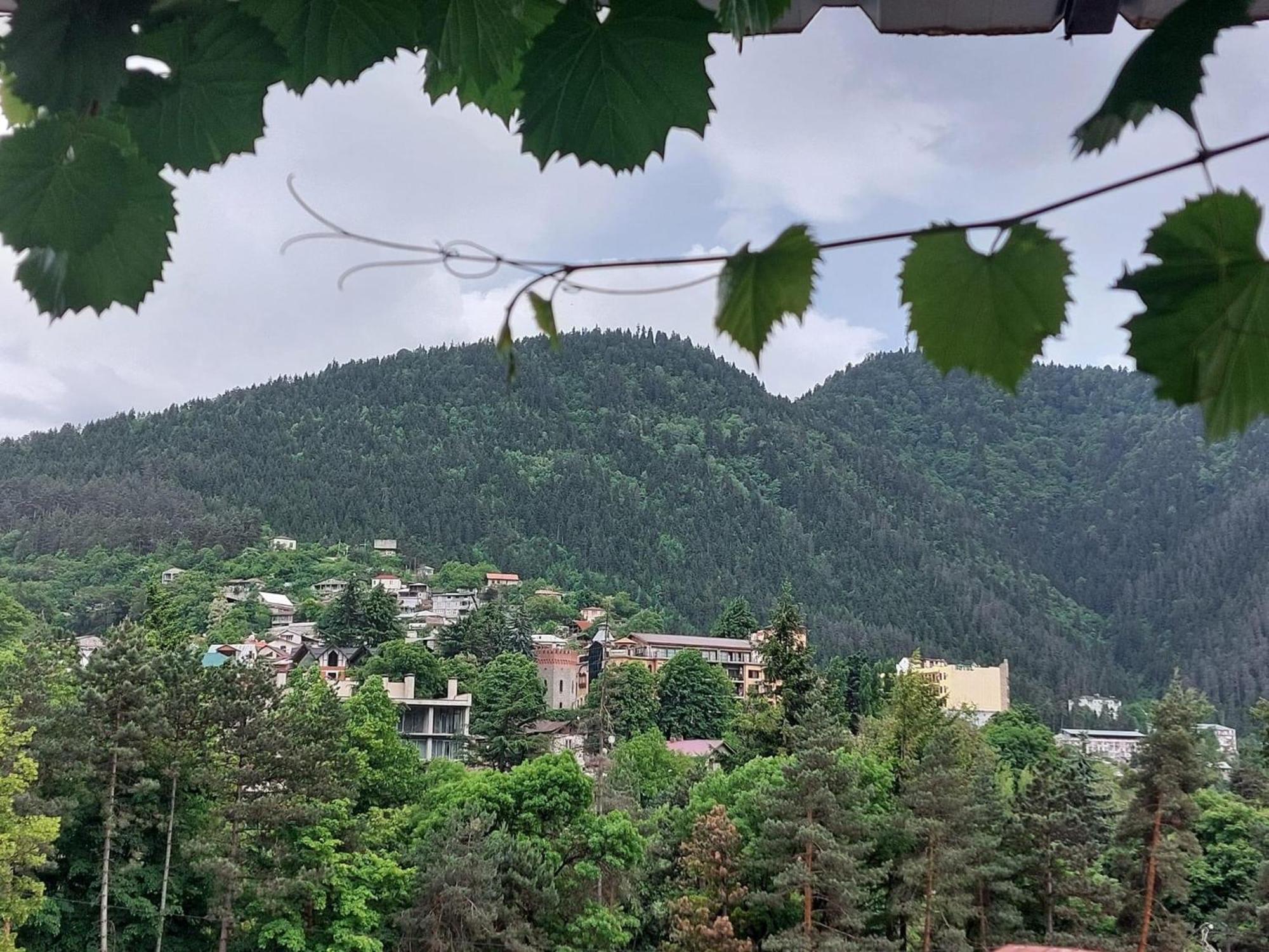 Guesthouse Saba بورجومي المظهر الخارجي الصورة