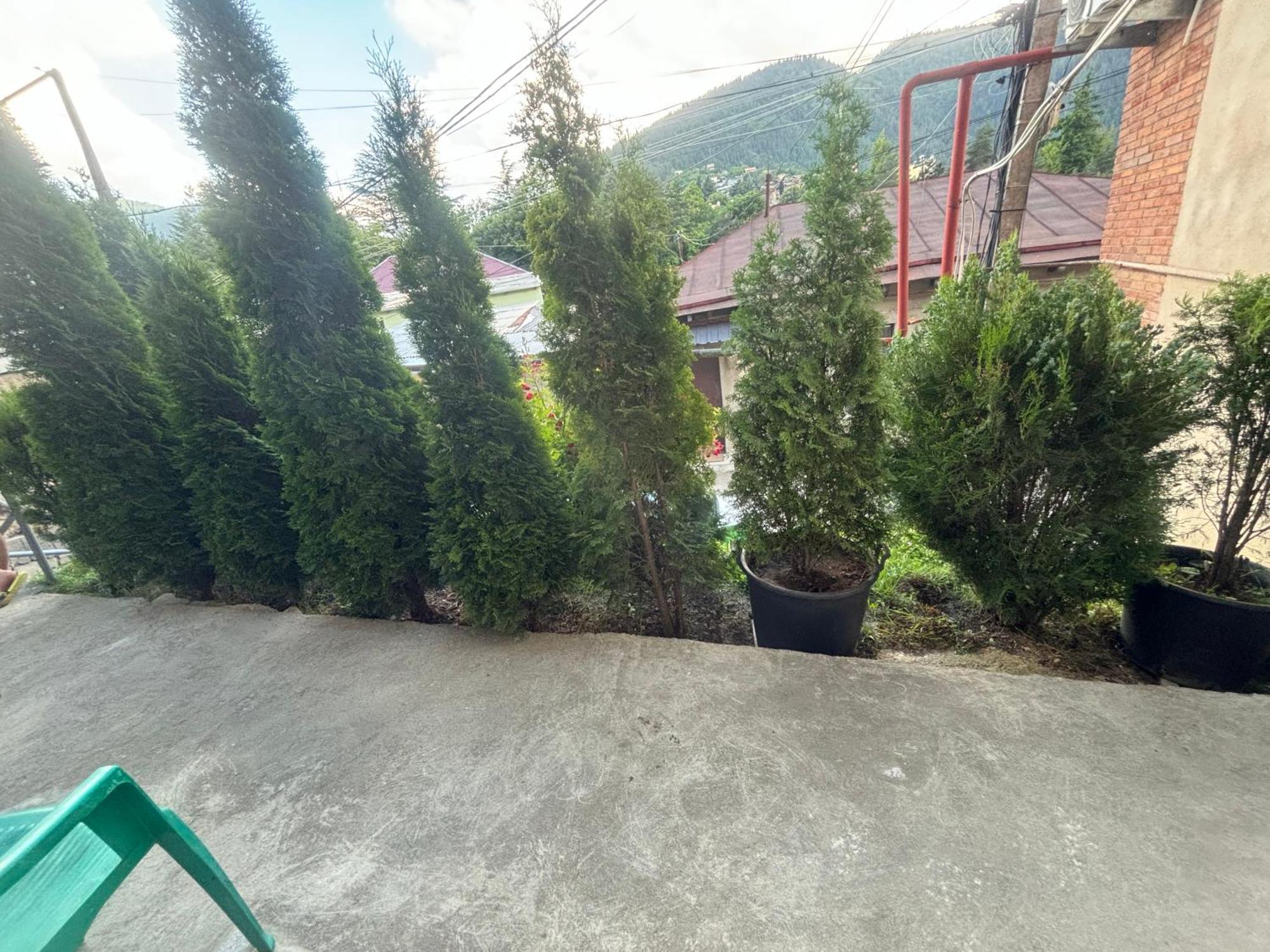 Guesthouse Saba بورجومي المظهر الخارجي الصورة